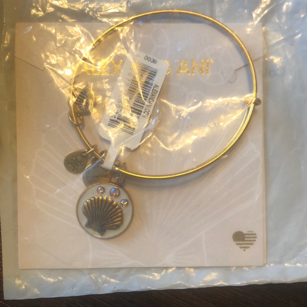 Alex and Ani Bracelet